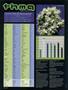Page: - 82 | High Times