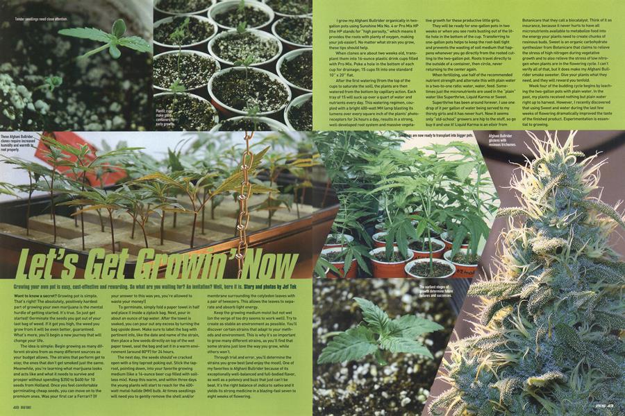 Let's Get Growin' Now