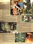 Page: - 41 | High Times