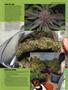 Page: - 53 | High Times