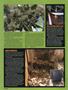 Page: - 54 | High Times