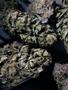 Page: - 56 | High Times