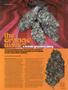 Page: - 73 | High Times