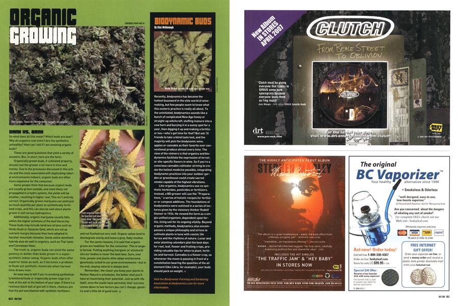BIODYNAMIC BUDS