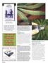 Page: - 106 | High Times