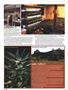 Page: - 44 | High Times