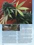 Page: - 94 | High Times