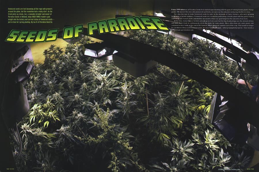 SEEDS OF PARADISE