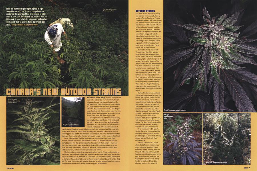 CANADA'S NEW OUTDOOR STRAINS