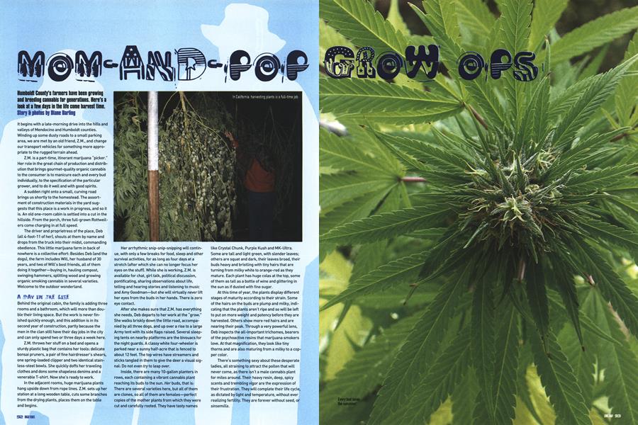 GROW OPS