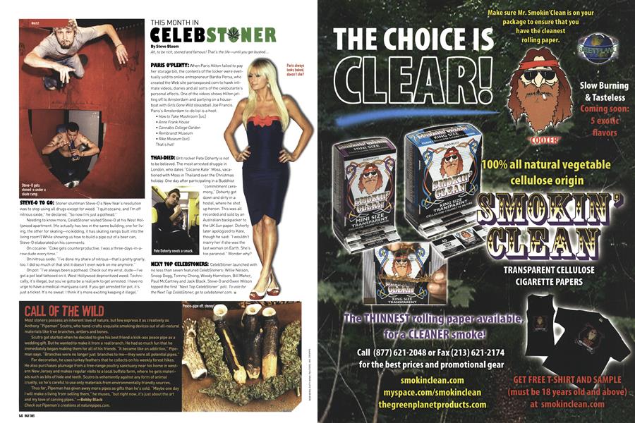 THIS MONTH IN CELEBSTONER