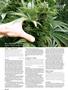 Page: - 102 | High Times