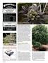 Page: - 106 | High Times