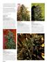 Page: - 58 | High Times