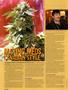 Page: - 64 | High Times