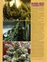 Page: - 66 | High Times