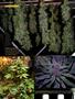Page: - 88 | High Times