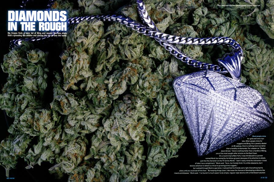 DIAMONDS IN THE ROUGH