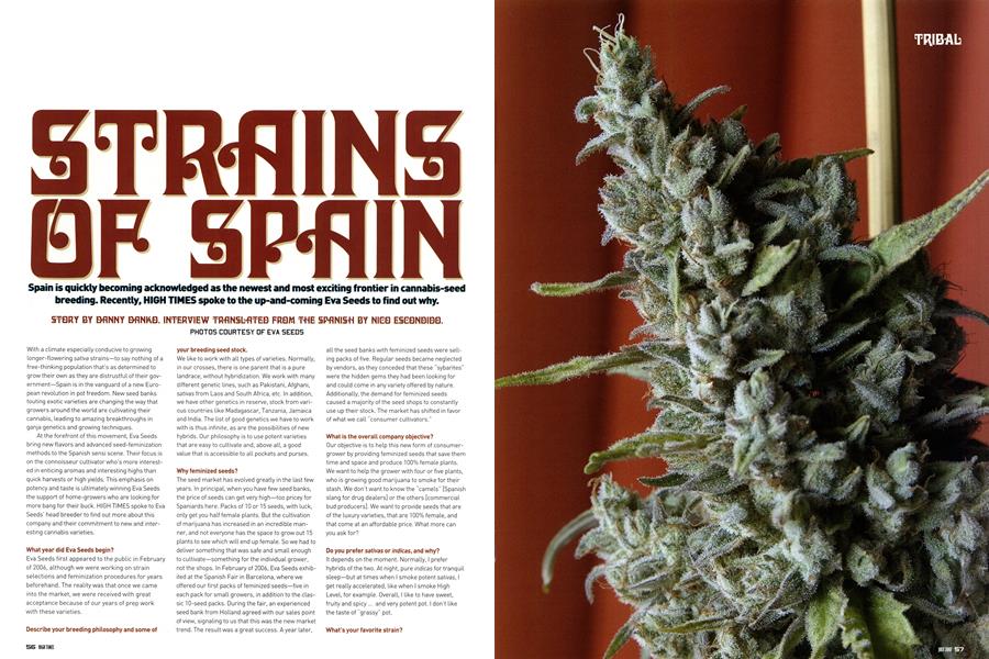 STRAINS OF SPAIN
