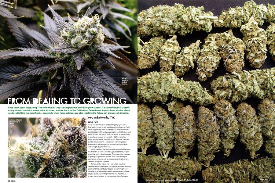 FROM DEALING TO GROWING