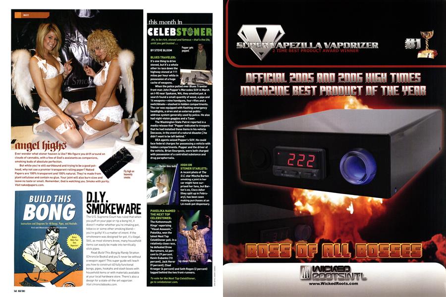 this month in CELEBSTONER