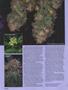 Page: - 58 | High Times