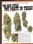 Page: - 64 | High Times