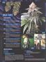 Page: - 8 | High Times