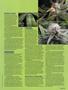 Page: - 93 | High Times
