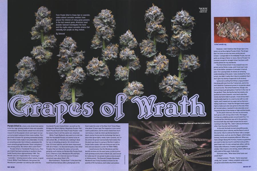 Grapes of Wrath