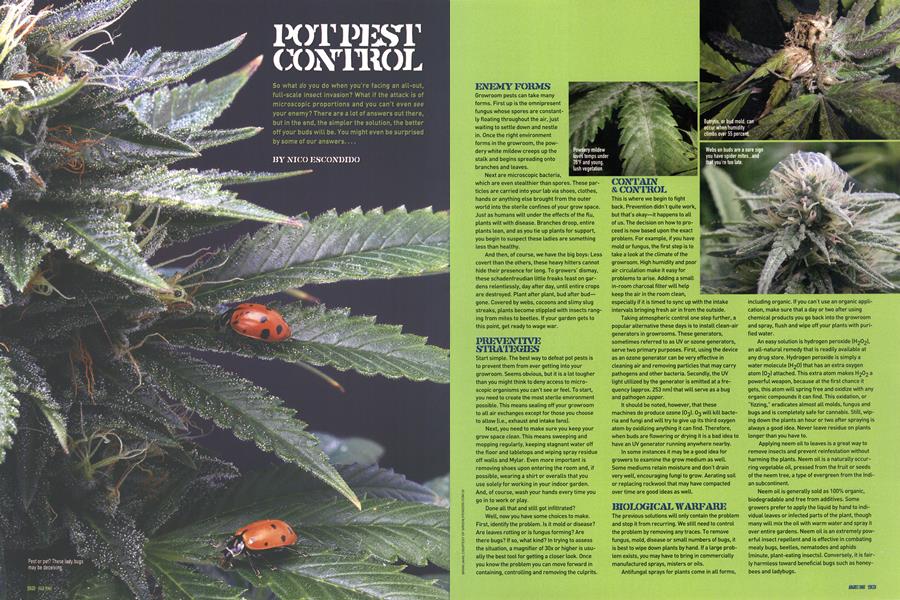 POT PEST CONTROL