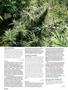 Page: - 102 | High Times