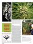 Page: - 106 | High Times