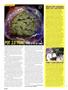 Page: - 16 | High Times