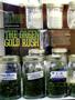 Page: - 38 | High Times