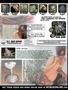 Page: - 5 | High Times