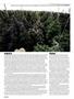Page: - 58 | High Times