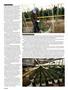 Page: - 64 | High Times