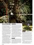 Page: - 68 | High Times