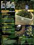 Page: - 8 | High Times