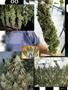 Page: - 87 | High Times