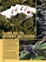 Page: - 94 | High Times