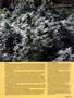 Page: - 95 | High Times