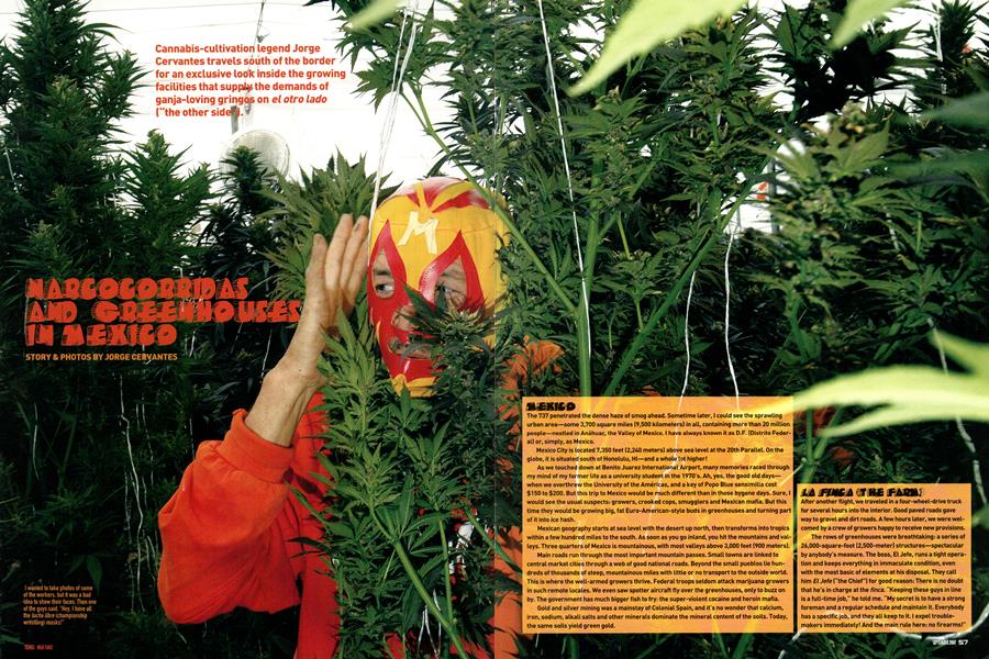 NARCOCORRIDAS AND GREENHOUSES IN MEXICO