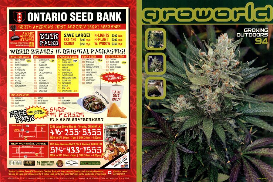 PIX OF THE CROP