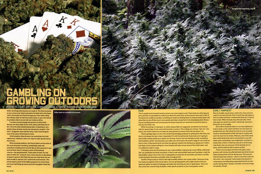 GAMBLING ON GROWING OUTDOORS