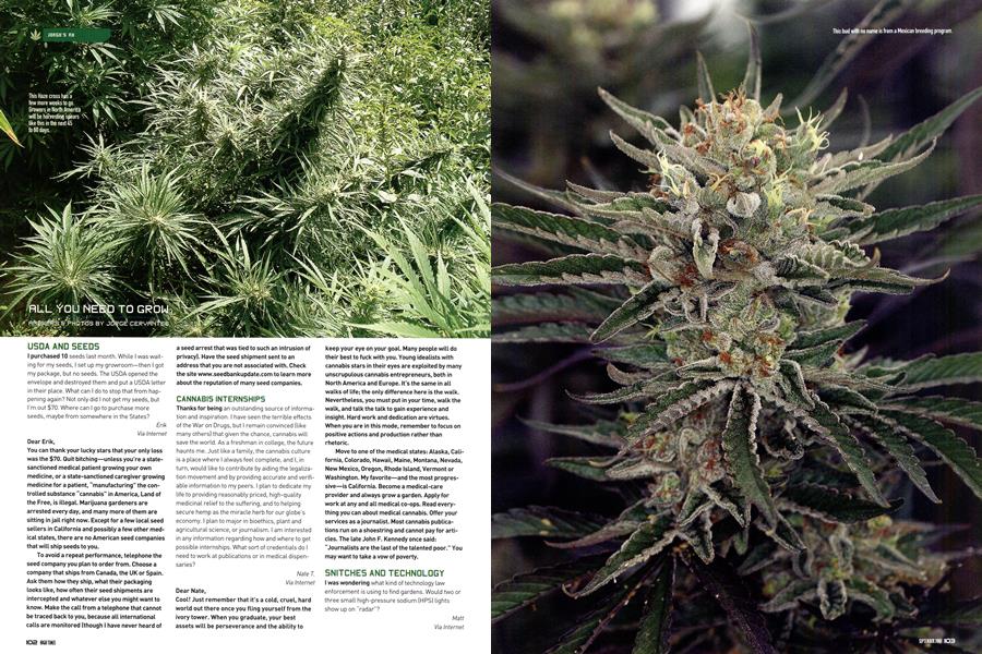 ALL YOU NEED TO GROW