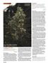 Page: - 102 | High Times