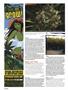 Page: - 104 | High Times