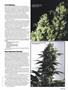 Page: - 53 | High Times